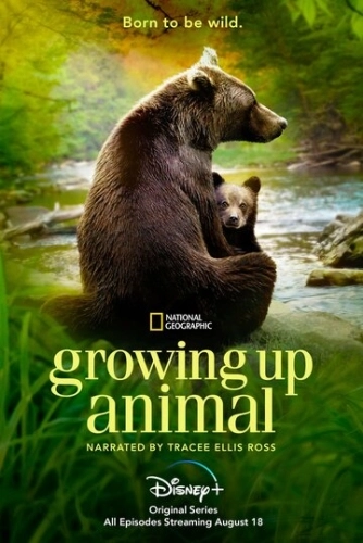 Growing Up Animal смотреть онлайн