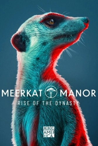 Meerkat Manor: Rise of the Dynasty смотреть онлайн